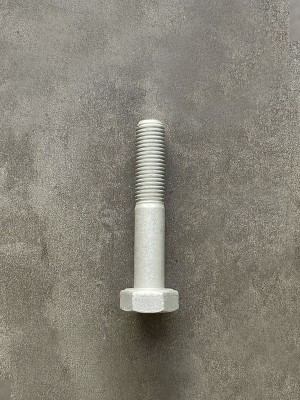 Болт М10х55х1,25 1/58887/21