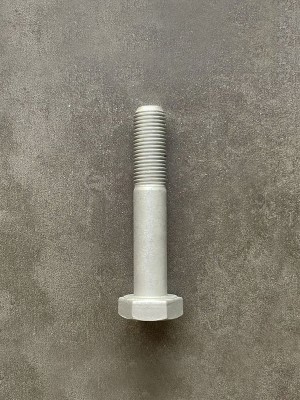 Болт М10х65х1,25 1/13437/21