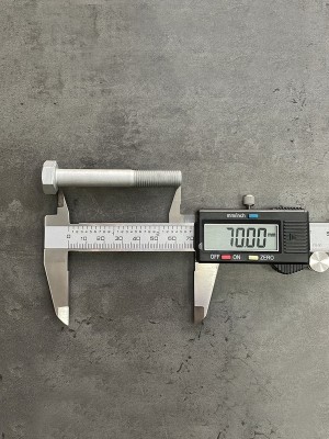 Болт М10х70х1,25 1/58888/21