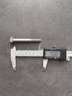 Болт М10х75х1,25 1/59713/21