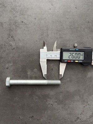 Болт М10х100х1,25 1/59718/21