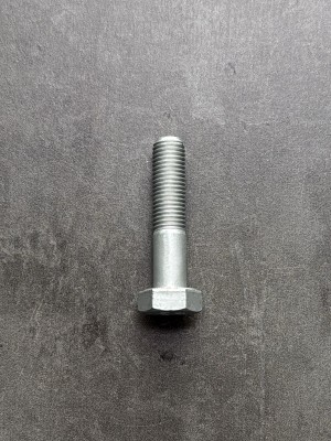 Болт М10х40х1,25 1/13070/31